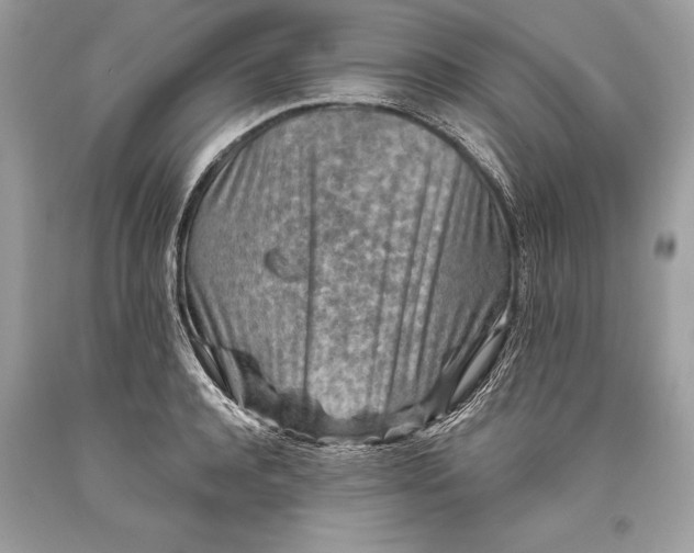 X0000093470944200710261040