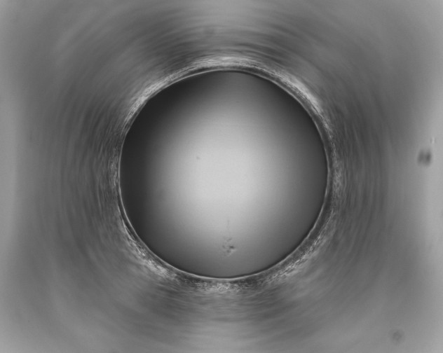 X0000093470945200710261040