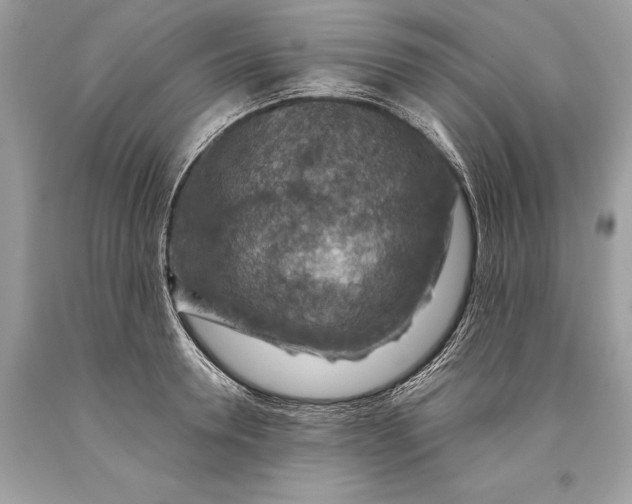 X0000093470946200710261040