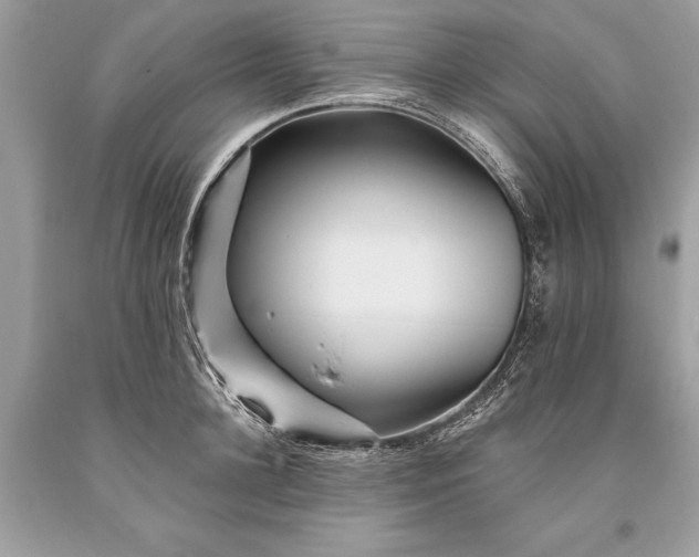 X0000093470948200710261040