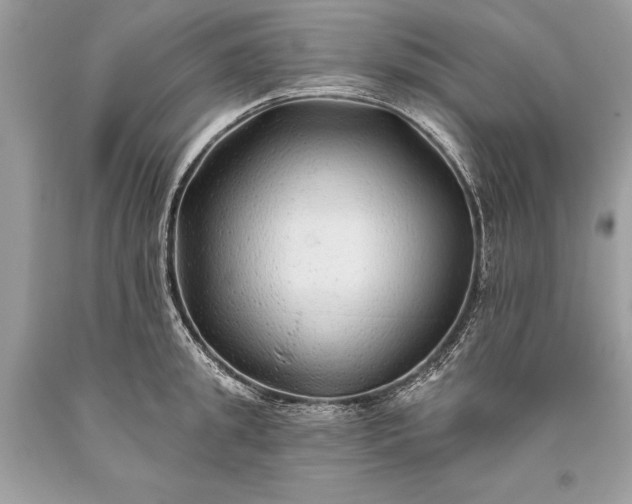 X0000093470949200710261040