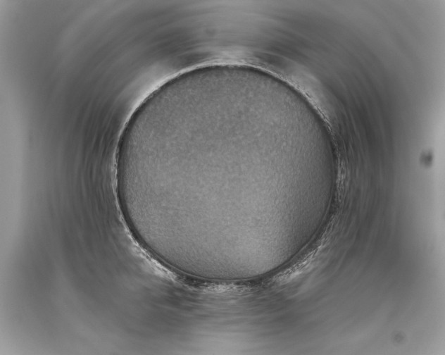 X0000093470950200710261040