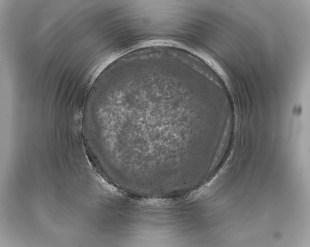 X0000093470953200710261040