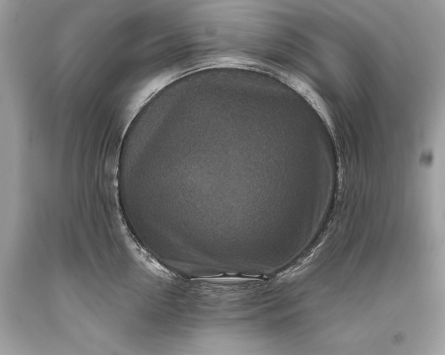 X0000093470954200710261040