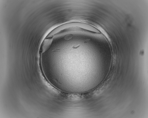 X0000093470955200710261040