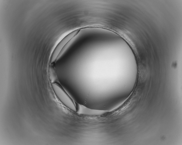 X0000093470956200710261040