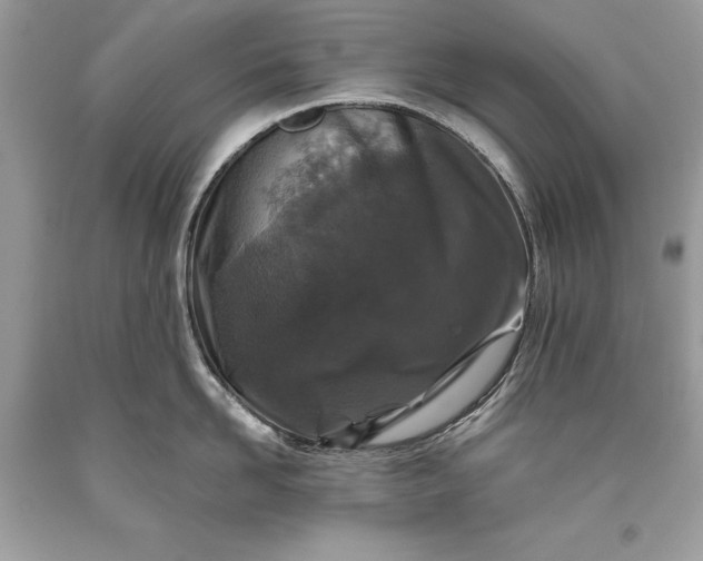 X0000093470958200710261040