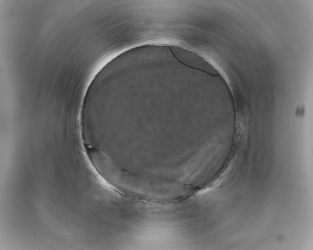 X0000093470959200710261040