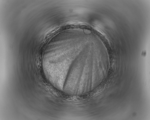 X0000093470966200710261039