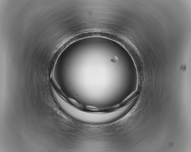 X0000093470969200710261039