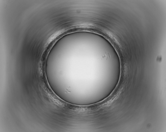 X0000093470970200710261039