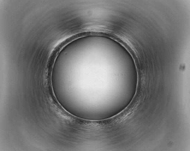 X0000093470971200710261039