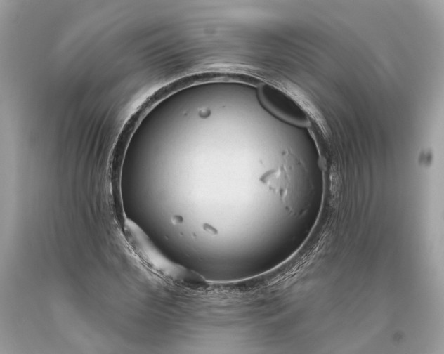 X0000093470972200710261039