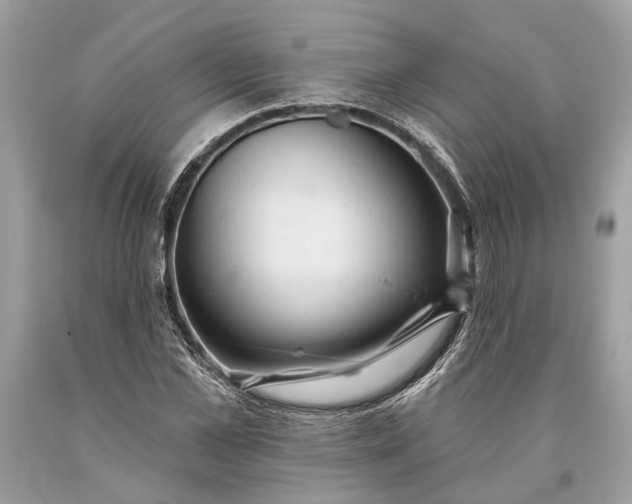 X0000093470973200710261039