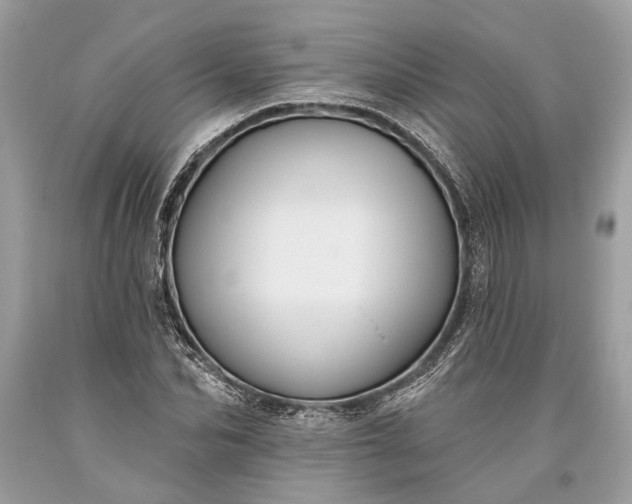 X0000093470974200710261039