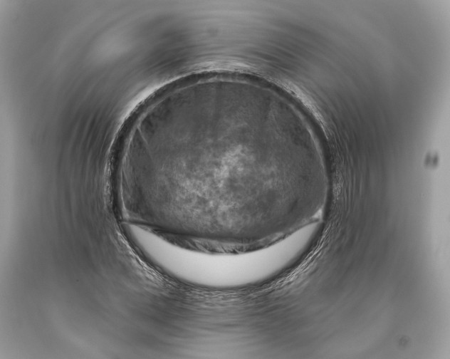 X0000093470975200710261039