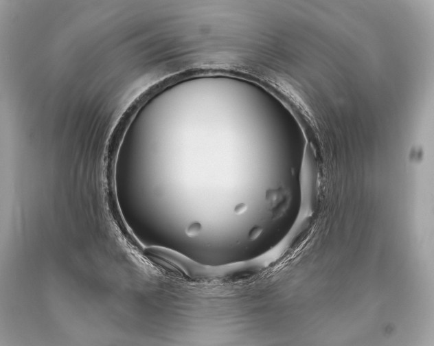 X0000093470976200710261039