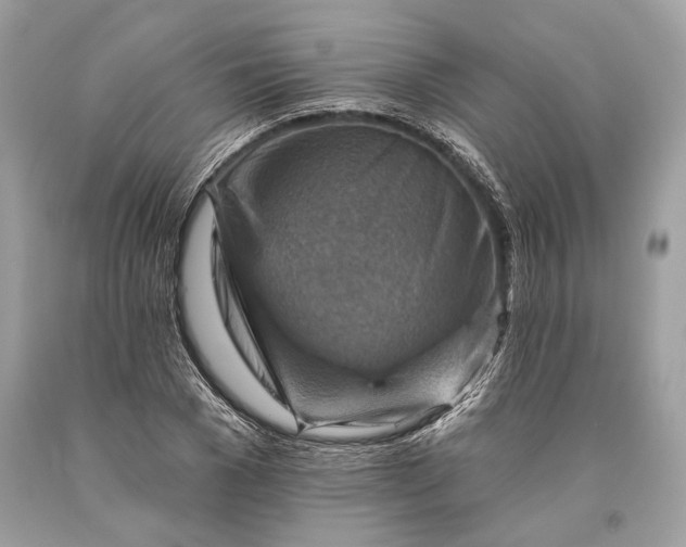 X0000093470977200710261039