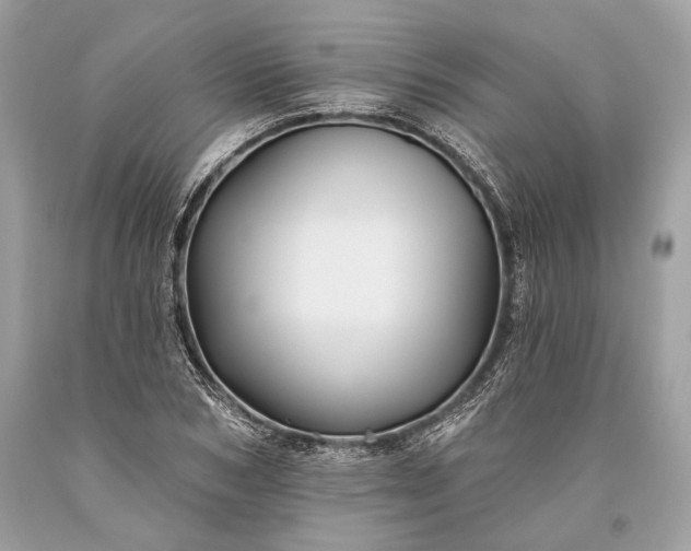 X0000093470978200710261039