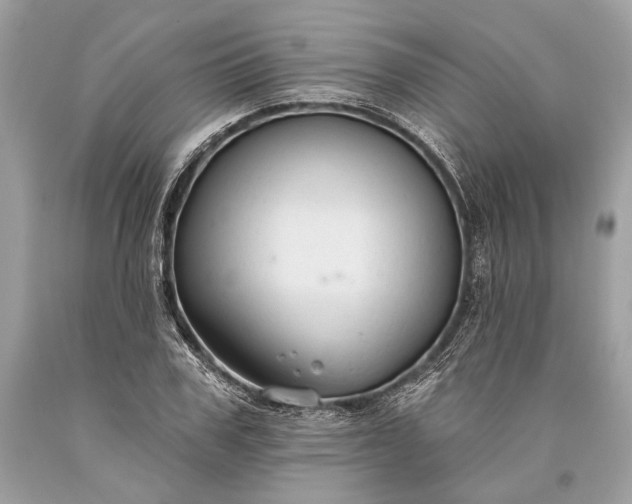 X0000093470979200710261039