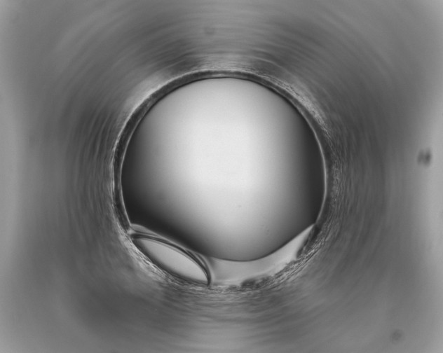 X0000093470980200710261039