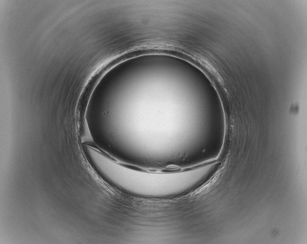 X0000093470981200710261039