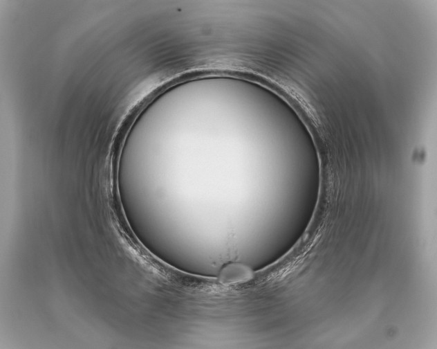 X0000093470982200710261039