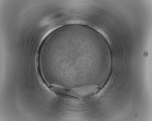 X0000093470983200710261039