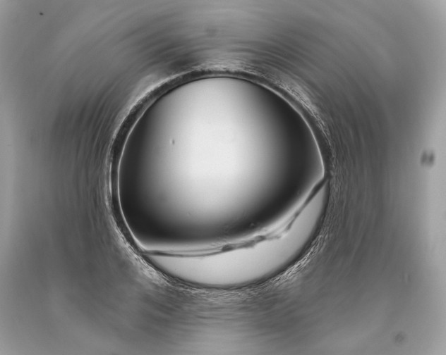 X0000093470984200710261039