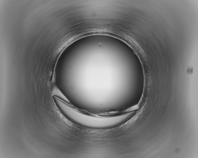 X0000093470985200710261039