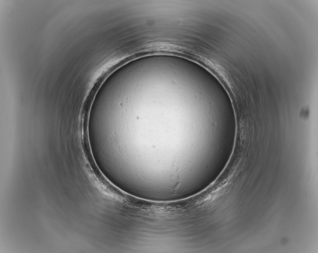 X0000093470987200710261039