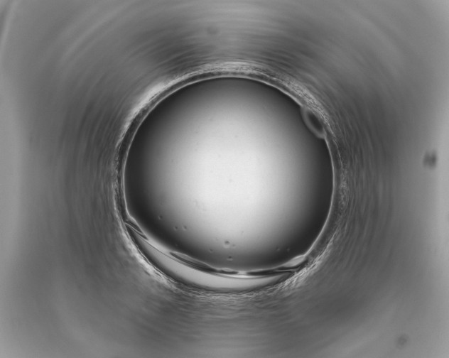 X0000093470989200710261039