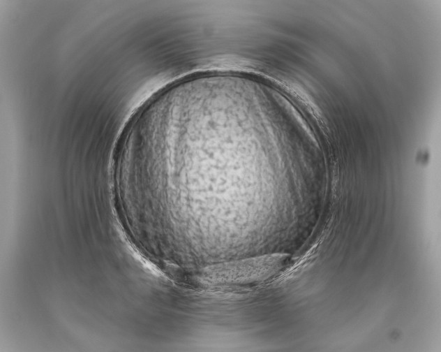 X0000093470990200710261039