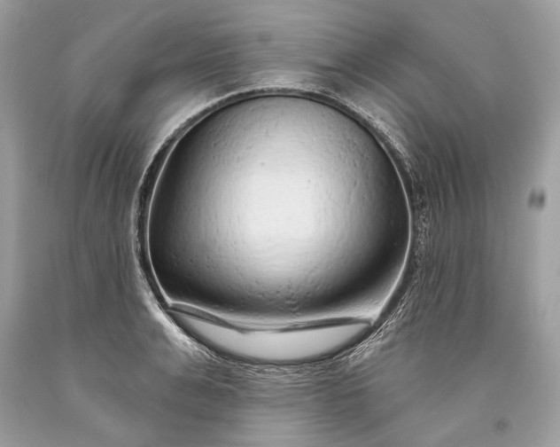 X0000093470991200710261039