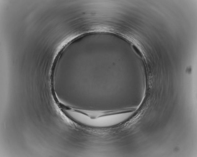 X0000093470995200710261039