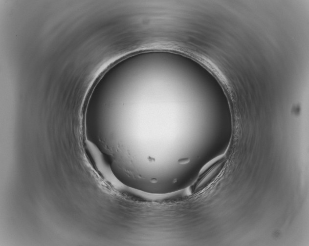 X0000093470996200710261039