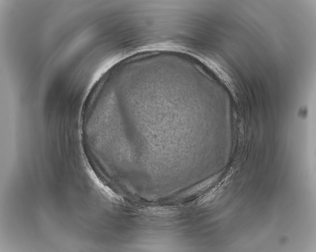 X0000093470998200710261039