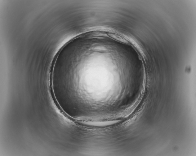 X0000093470999200710261039