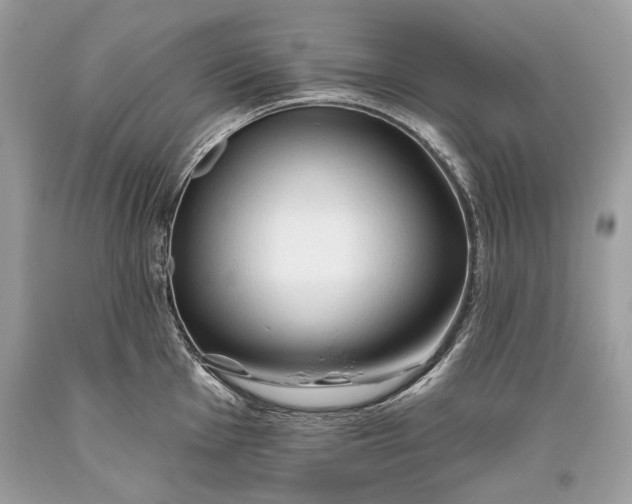 X0000093471001200710261039