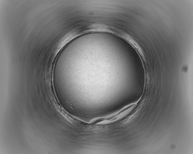 X0000093471002200710261039