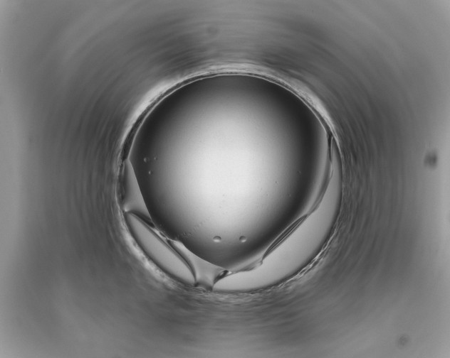 X0000093471005200710261039