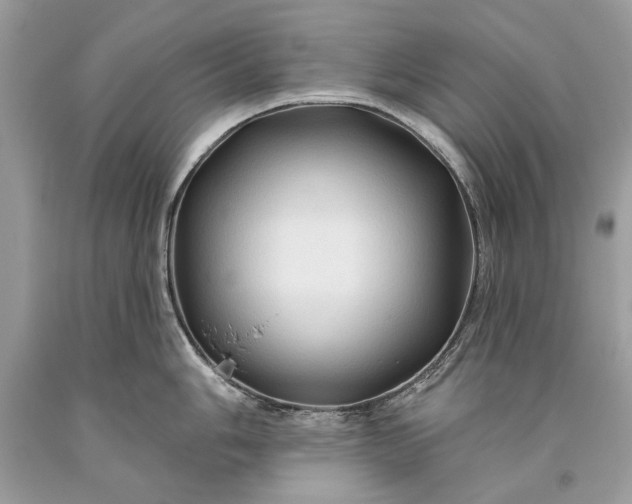 X0000093471006200710261039