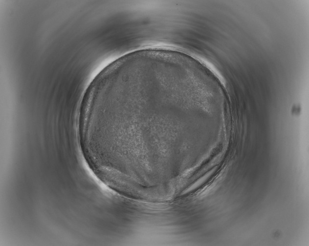 X0000093471007200710261038