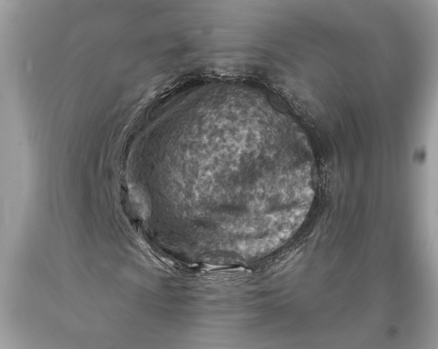 X0000093471009200710261038