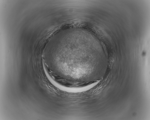 X0000093471010200710261038