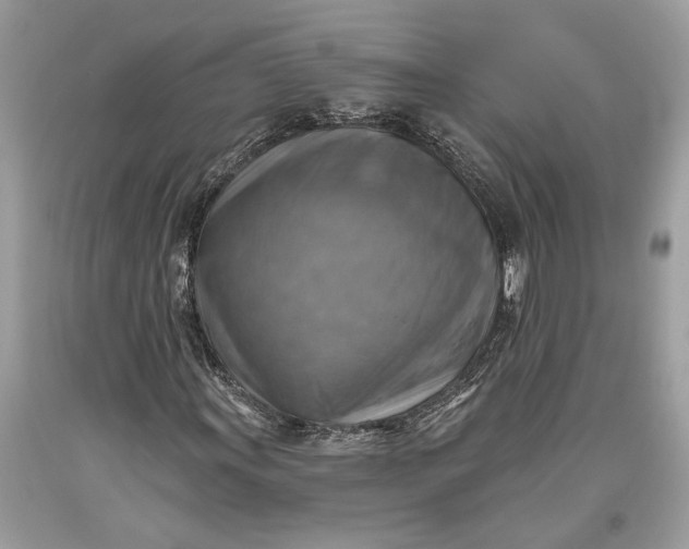 X0000093471011200710261038