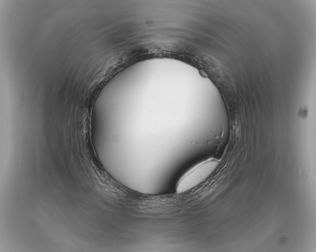 X0000093471012200710261038