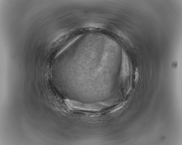 X0000093471014200710261038