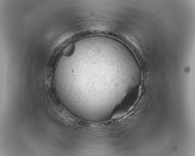 X0000093471015200710261038