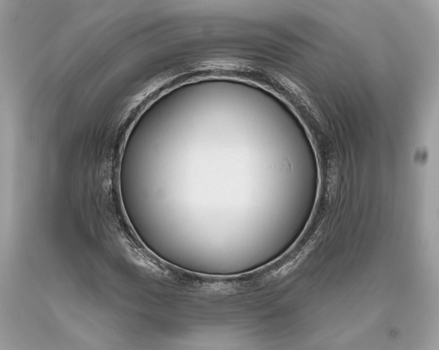 X0000093471017200710261038